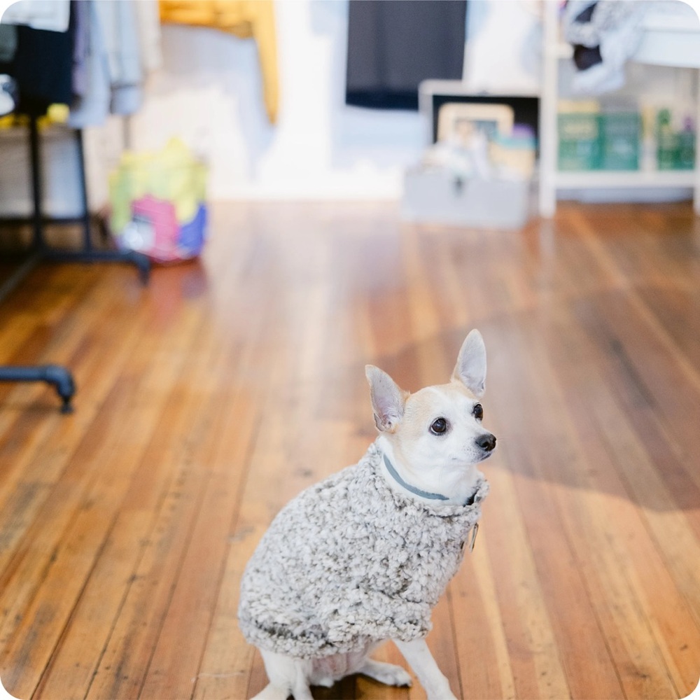 The Worthy Dog Quarter Zip Wubby Fleece Pullover